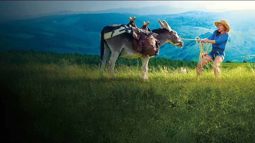 Ослик, любовник и я