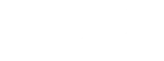 Донни Браско
