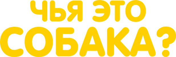 Фильм Чья это собака?