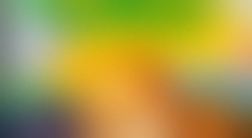 Дядя Федор, Пес и Кот