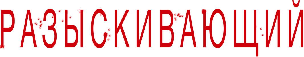 Разыскивающий (Фильм, 1980)