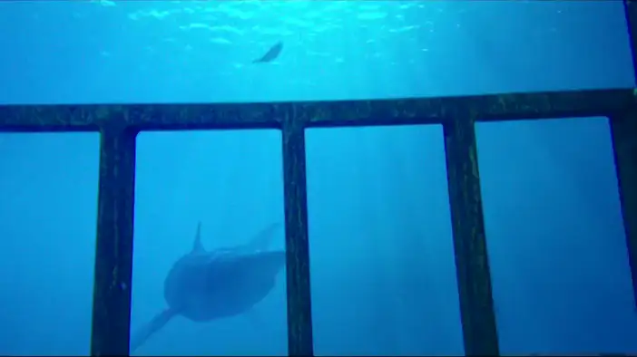 Трейлер (английский язык)