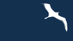 Чайка по имени Джонатан Ливингстон