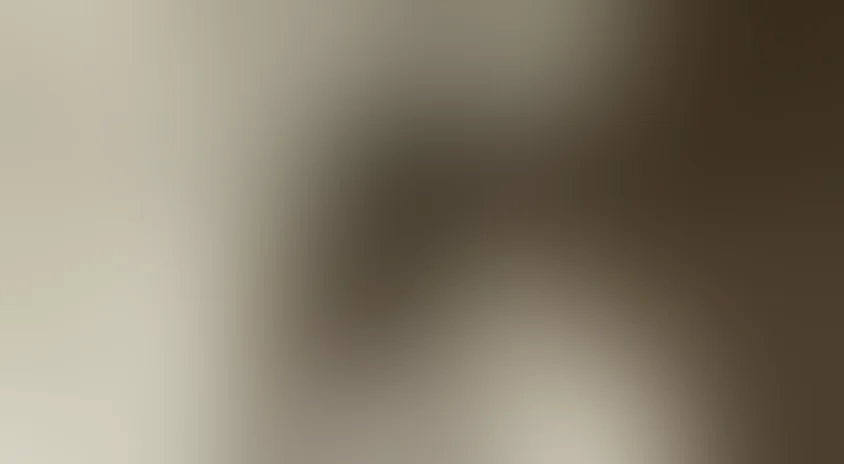 Полынь – трава горькая