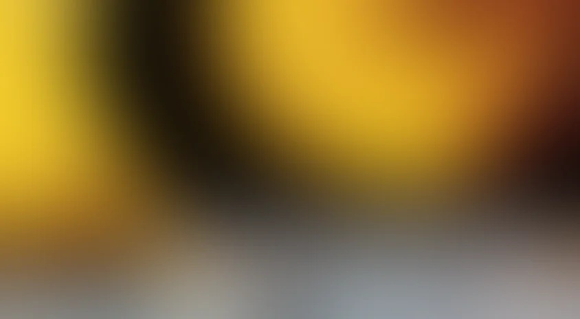 Соучастники