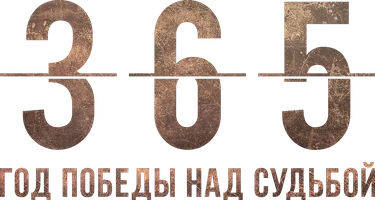 365: Год победы над судьбой