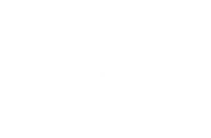 Мисс Уиллоби и книжная лавка с привидениями