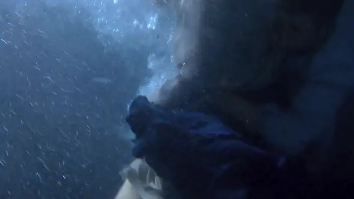 Трейлер (дублированный)