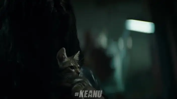 ТВ-ролик 4 (английский язык)