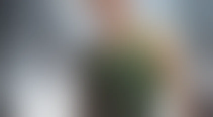 Феникс в ярости