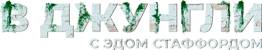 В джунгли с Эдом Стаффордом