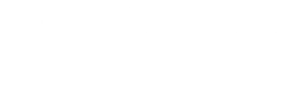 Сценарии жизни