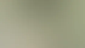 Добро пожаловать к Райли