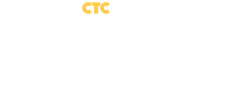Поддельный кот