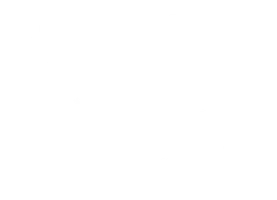 Принцесса и учёный: Предательство кукольного Гу