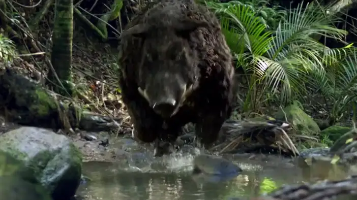 Американский трейлер (английский язык)