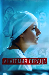 Анатомия сердца