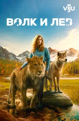 Волк и лев