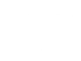 Двойная жизнь (2018)