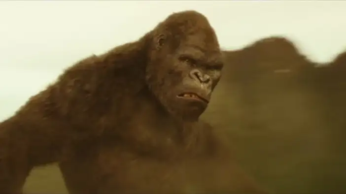 Фрагмент 4 (английский язык)