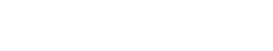 Фильм Тюльпаны