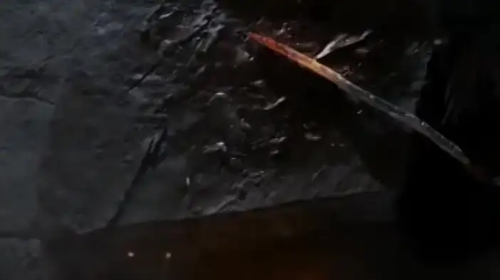 ТВ-ролик 3 (английский язык)