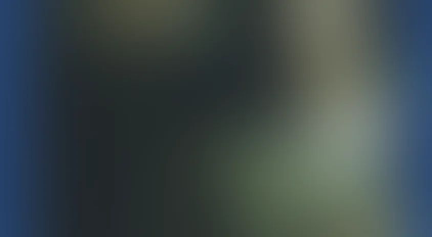 Двадцать шесть дней из жизни Достоевского