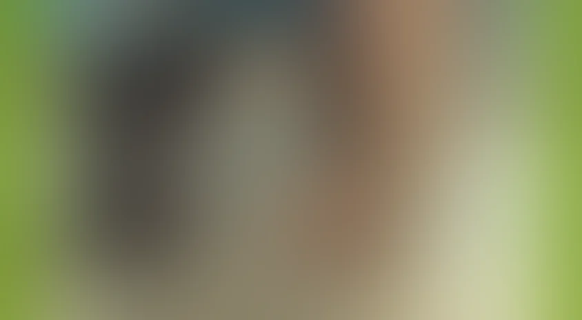 Новогоднее приключение