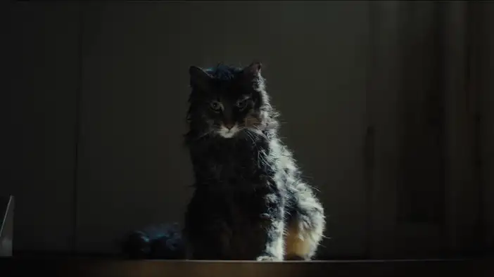 Трейлер (дублированный)