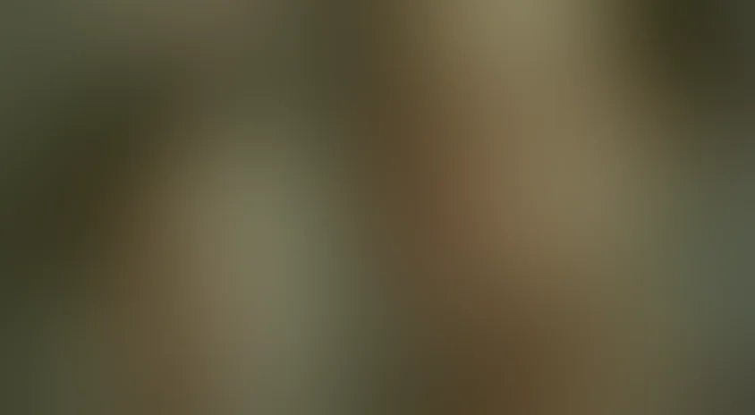 Я буду ждать...