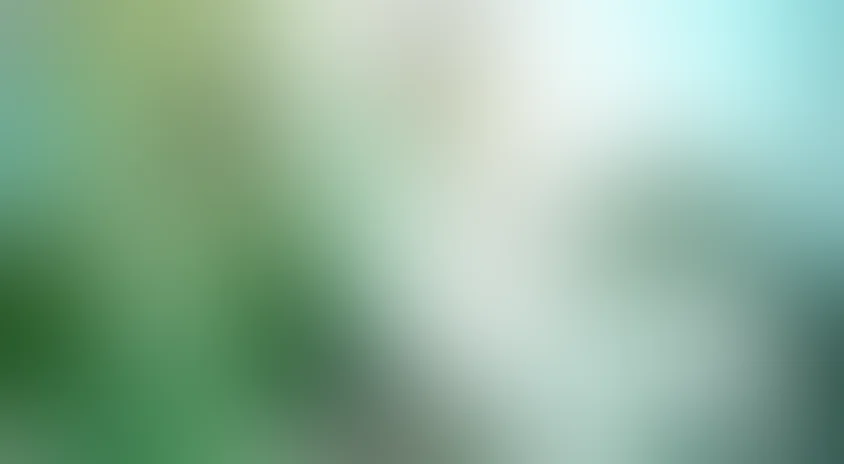 Компаньоны