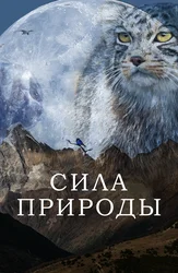 Сила природы