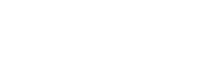 История триумфального возвращения. Сергей Орлов