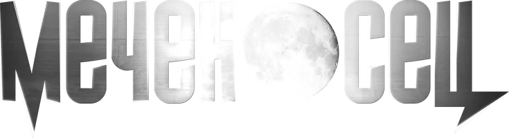 Меченосец (фильм 2006)