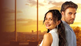 Любовный контракт