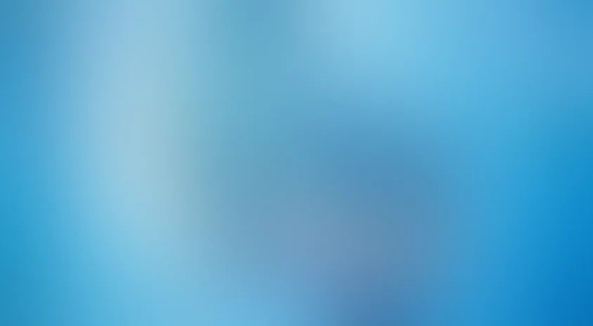 Дельфин: История мечтателя