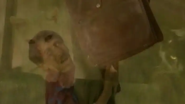 Трейлер (русский язык)