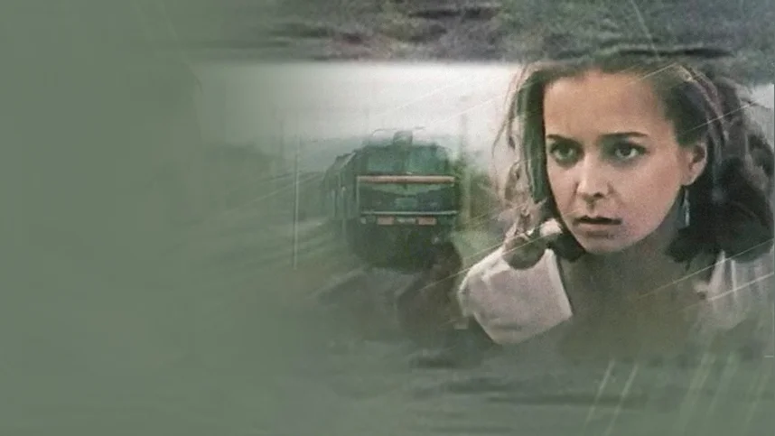 Поезд вне расписания