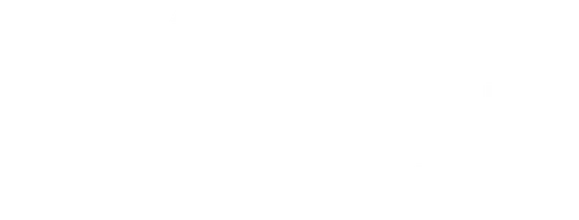 Дэвид МакКало: Рисуя историю (2008)