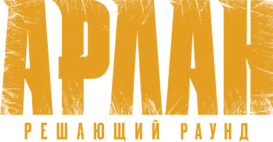 Арлан. Решающий раунд