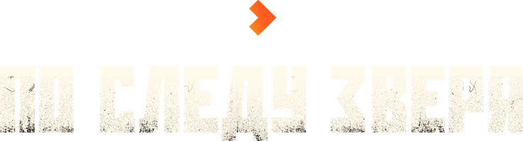 По следу зверя