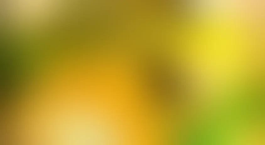 Ролли и Эльф: Невероятные приключения