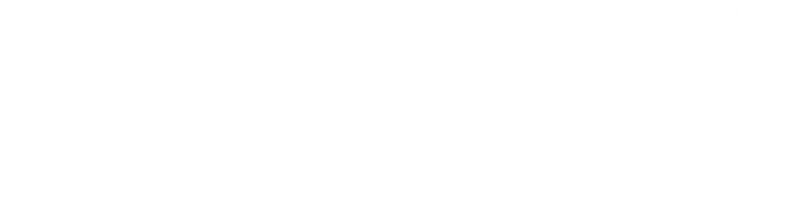 Телохранитель киллера