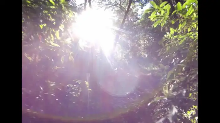 Трейлер (русский язык)