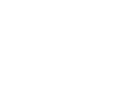 Жизнь