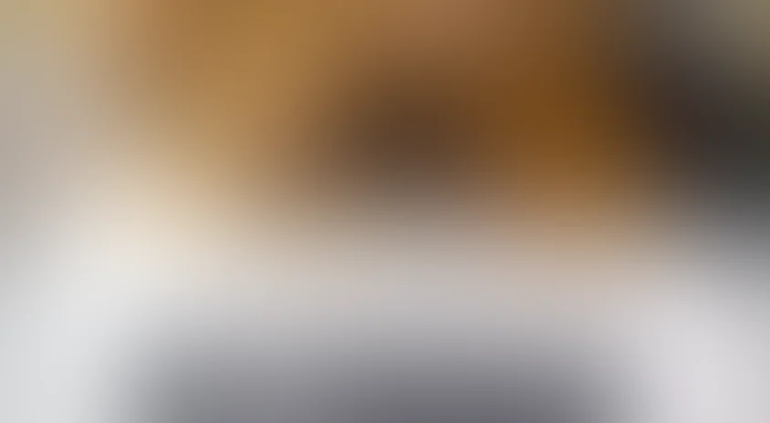 Истинные ценности