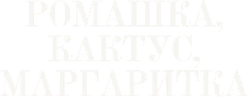 Ромашка, кактус, маргаритка (Фильм, 2009)