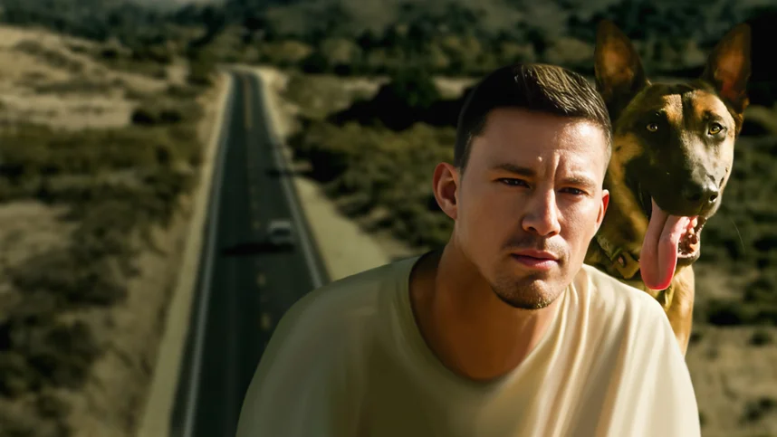 Лулу и Бриггс