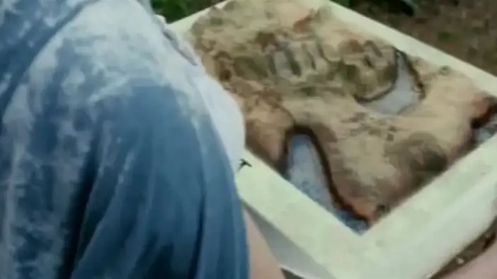 Трейлер (дублированный)