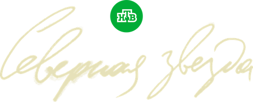 Северная звезда (2020) (Сериал, 2020)